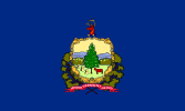 Vermont Police Department Flag