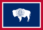 Wyoming Police Department Flag
